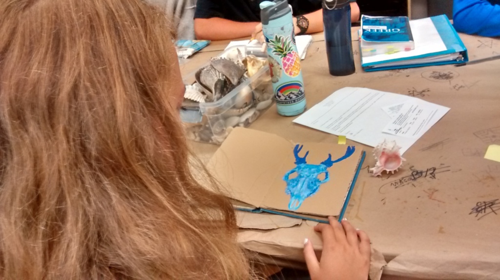 student teacher blog, blue animal skull