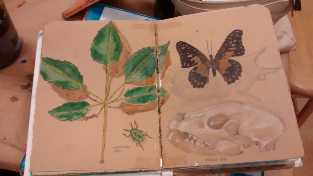teacher student blog, leaf & butterfly