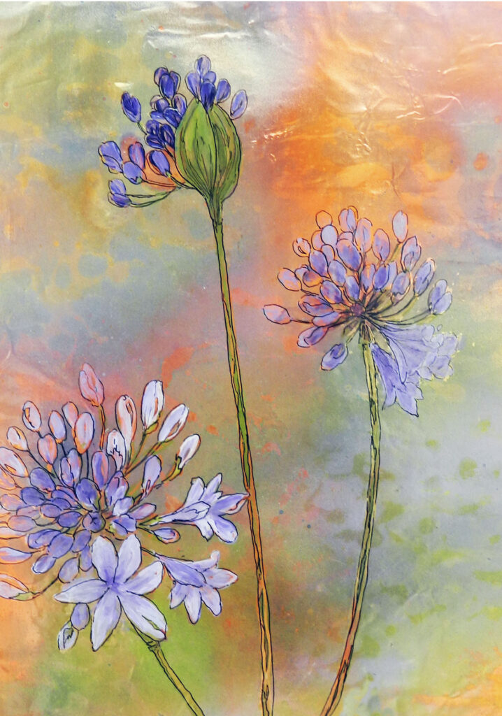 agapanthus purple 12 x 16 inches $175.00 by Lyn Novak Hise