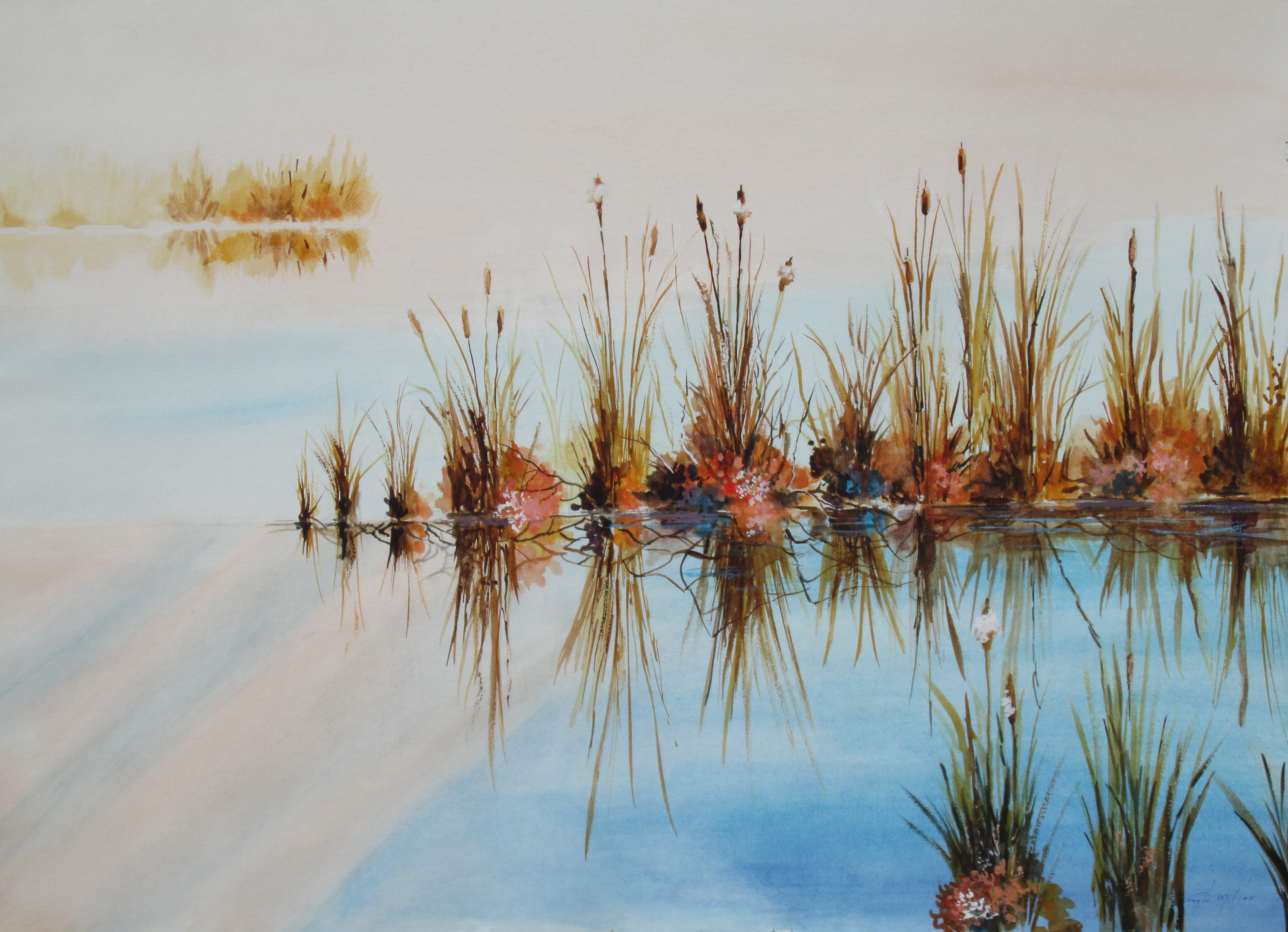 Cattails on the Pond size 30x22.5 Framed size 39x31, watercolor. $425.00