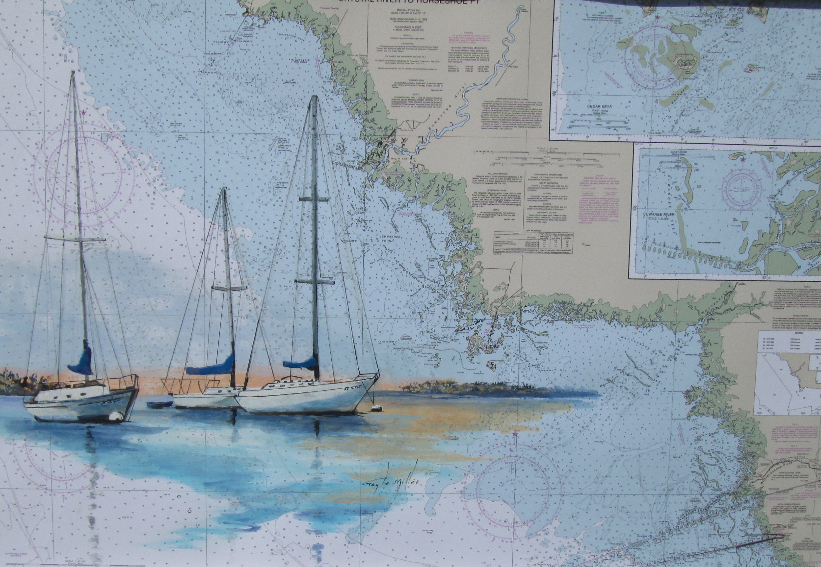 Crystal River to Horseshoe Point Image size 21x18.5 Matted/not framed Acrylic/paper $250.00