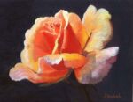 <a href="https://fineartamerica.com/featured/leslas-rose-laura-gabel.html" target="_blank" rel="noopener noreferrer">Purchase "Lesla's Rose" Here</a> © Laura Gabel, "Lesla's Rose". Pastel, 8x10. Private collection.